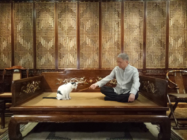 马未都先生与观复博物馆里的猫馆长.jpg