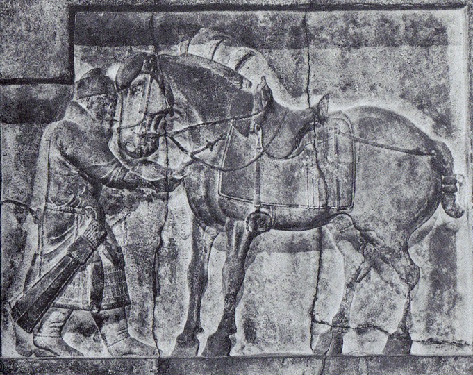 image016.jpg