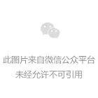我会杨方副会长八一节看望慰问越战老兵